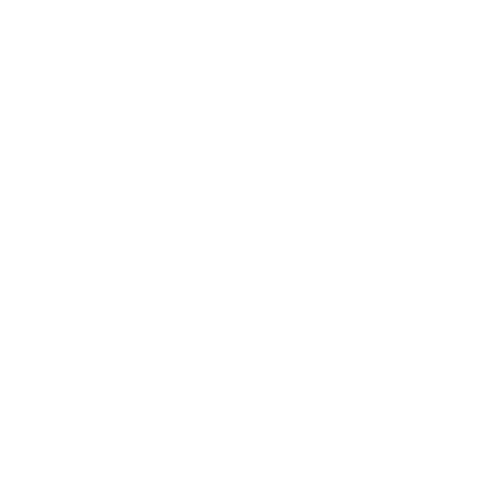 Elite Optical